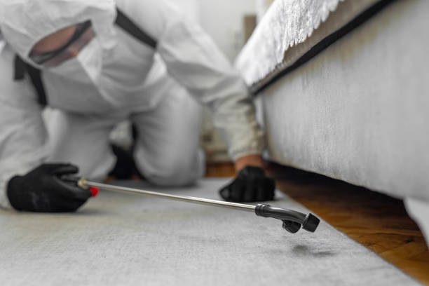 Professional Pest Control technician working in Forestbrook, SC