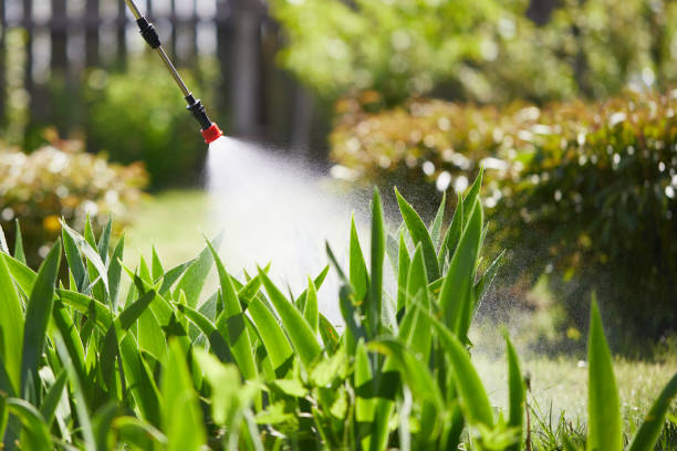 24/7 Emergency Pest Control experts in Forestbrook, SC